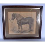 JOHN SHARPE (British), framed drawing, signed & dated 22nd June 1875, a horse in a staple. 41 cm x