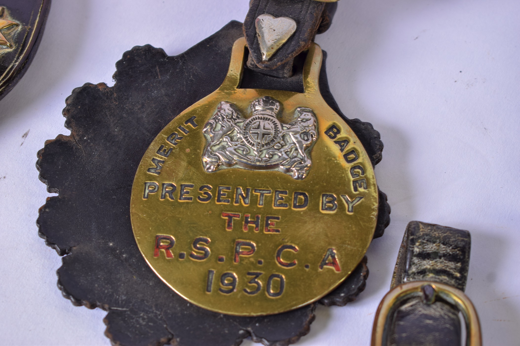 A GOOD COLLECTION OF ANTIQUE HORSE BRASSES AND OTHER ARTICLES, including a "Merit Badge" by the R. - Image 3 of 3