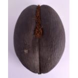 A LATE VICTORIAN/EDWARDIAN COCO DE MER NUT. 22 cm x 30 cm.