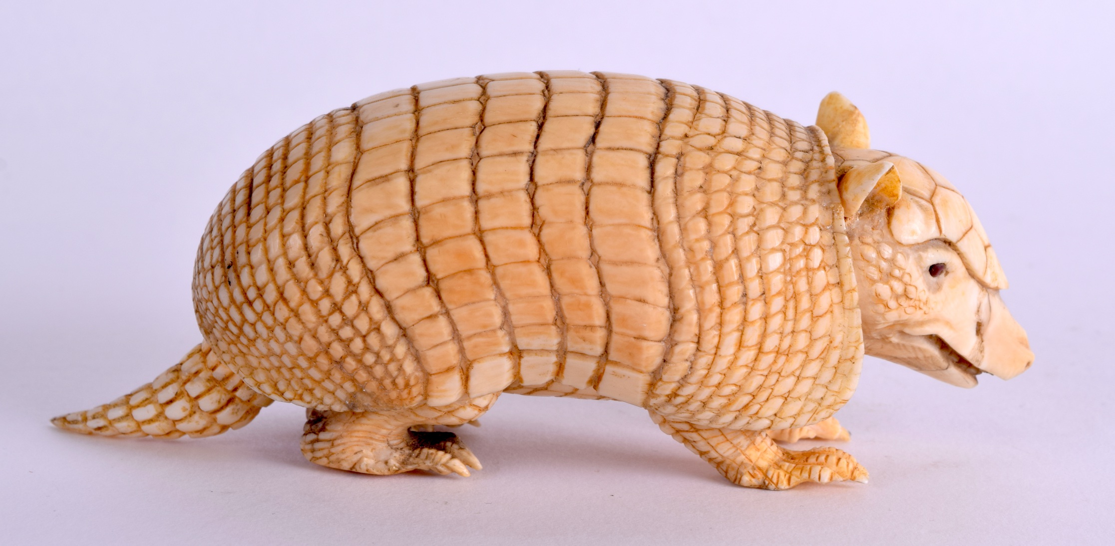 A VERY RARE 19TH CENTURY JAPANESE MEIJI PERIOD CARVED IVORY ARMADILLO naturalistically modelled in a - Image 2 of 6