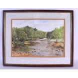 JOYCE YORK (British), framed watercolour, signed, trees in a river landscape. 23.5 cm x 33 cm.