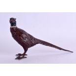 A COLD PAINTED BRONZE FIGURE OF A PHEASANT. 15 cm wide.