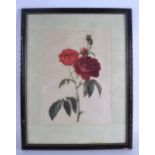 BRITISH SCHOOL (20th century), framed print on silk, study of roses, "Rosa". 30 cm x 22 cm.