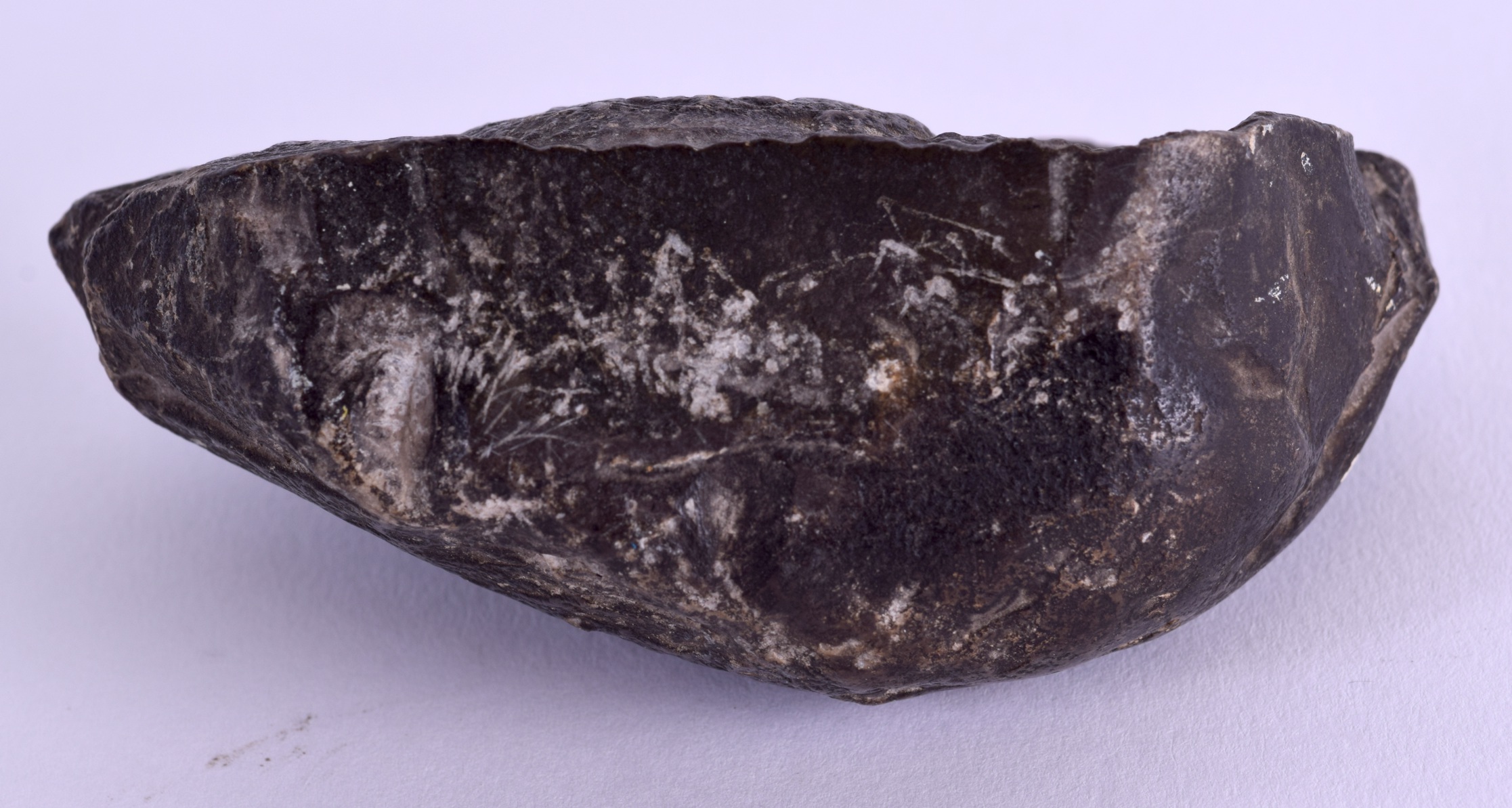 AN EARLY PREHISTORIC AMONITE. 9.5 cm x 6 cm. - Bild 3 aus 3