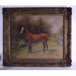 MANNER OF CHARLES RICHARD HAVELL (1828-1892), framed pastel, monogrammed & dated 1934, a horse in