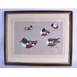 ASHLEY BOON (British), framed pair of watercolours, study of ducks, together with another similar.