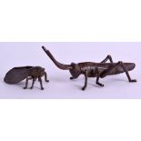 A JAPANESE BRONZE LOCUST together with a Japanese bronze fly. 11 cm x 5 cm. (2)