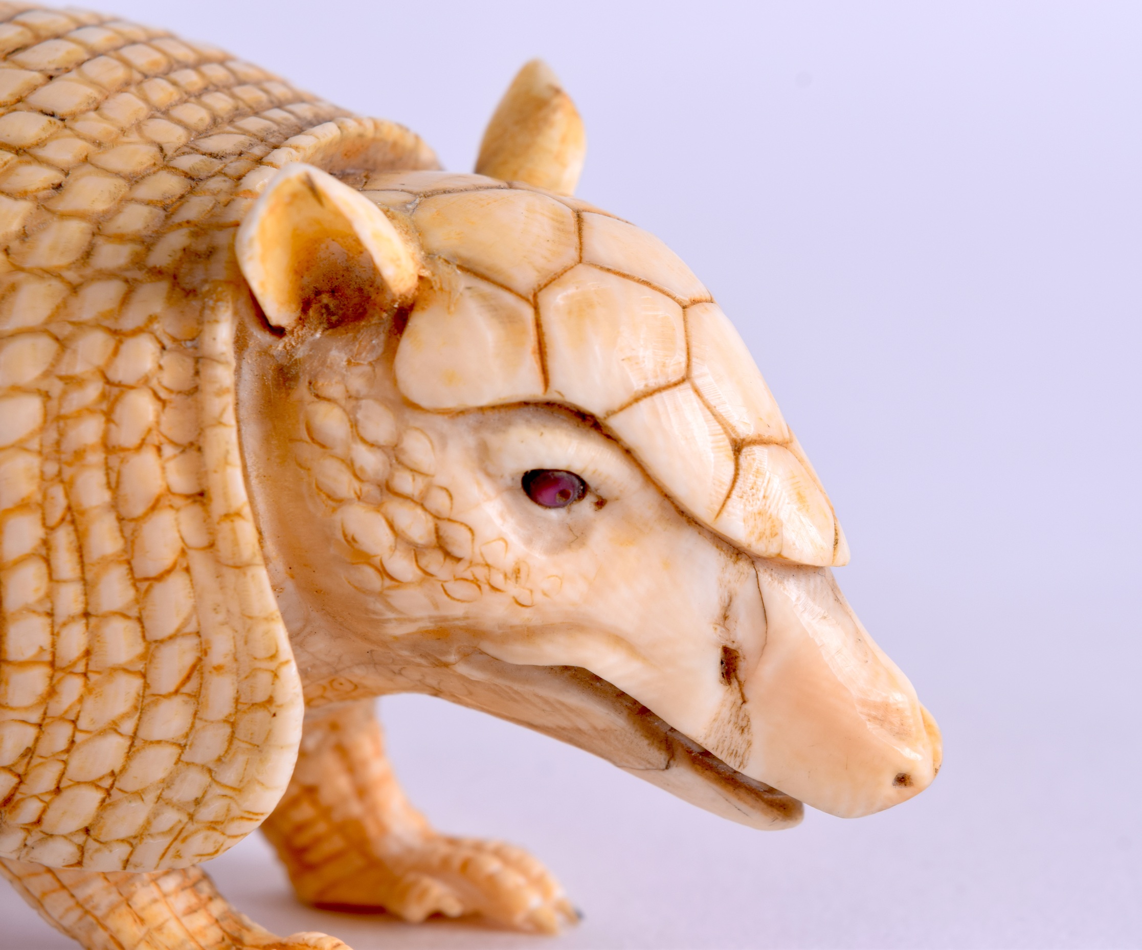 A VERY RARE 19TH CENTURY JAPANESE MEIJI PERIOD CARVED IVORY ARMADILLO naturalistically modelled in a - Image 6 of 6