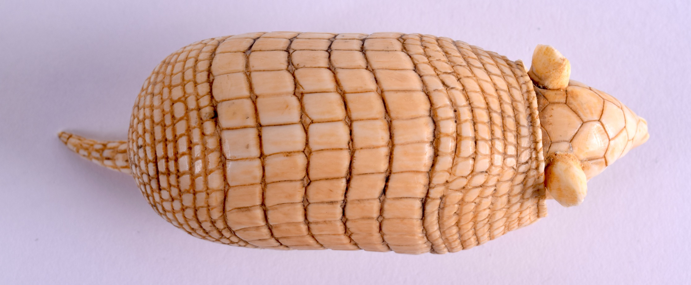 A VERY RARE 19TH CENTURY JAPANESE MEIJI PERIOD CARVED IVORY ARMADILLO naturalistically modelled in a - Image 3 of 6