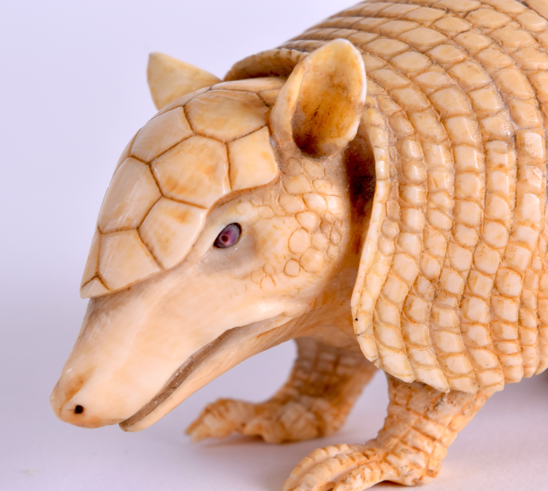 A VERY RARE 19TH CENTURY JAPANESE MEIJI PERIOD CARVED IVORY ARMADILLO naturalistically modelled in a - Image 5 of 6