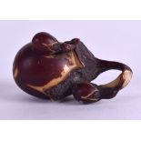 A RARE 19TH CENTURY JAPANESE MEIJI PERIOD POLYCHROMED NUT NETSUKE of naturalistic form. 4.5 cm x 2.5