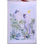 A PAIR OF PRINTS DEPICTING BIRDS AMONGST FOLIAGE, together with a print of crested cockatoos