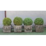 A SET OF FOUR COMPOSITION STONE PLANTERS of square form moulded with flowers in high relief, and