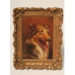 ARTHUR WARDLE (1864-1949), Head of a Collie, oil on board, signed, 7" x 5", gilt frame (subject to