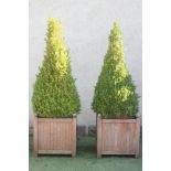 A PAIR OF TEAK VERSAILLES PLANTERS of square form with ball finials, 23 1/2" x 25", each with a