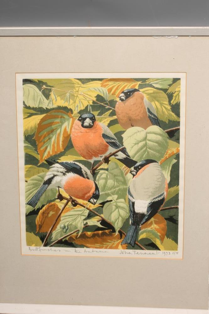 JOHN TENNENT (b.1926), "Blackbirds and Bull Finches in the Autumn", a pair, reproduction in colours, - Bild 3 aus 4