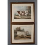 JOHN HARRIS III (1811-1865), "The Everingham Short Horn Prized Cow", after W.H. Davies and "Peach