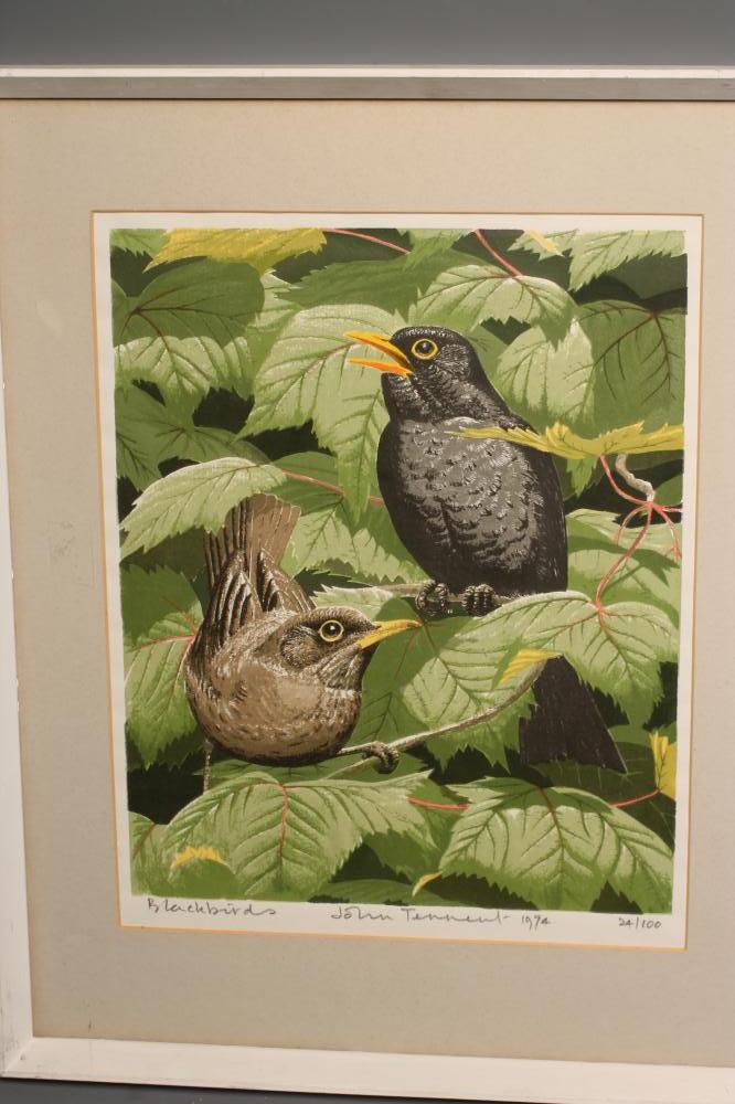 JOHN TENNENT (b.1926), "Blackbirds and Bull Finches in the Autumn", a pair, reproduction in colours, - Bild 4 aus 4