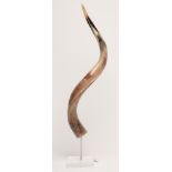 A KUDU HORN, polished and mounted on a metal and perspex stand, 31 1/4" high (Est. plus 21%