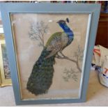 A 19th c watercolour and feather peacock framed and glazed some damage to paper and feathers