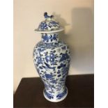 Chinese porcelain blue and white baluster vase decorated with birds and butterflies in foliage