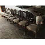 Set of 8 Shield + feather back mahogany dining chairs