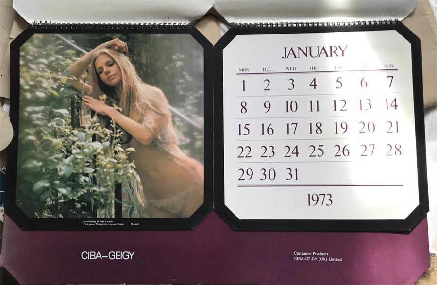 A CIBA-GEIGY 1973 calendar