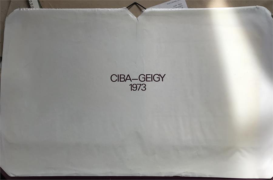 A CIBA-GEIGY 1973 calendar - Image 2 of 2