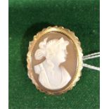 Cameo brooch with 9ct gold mount