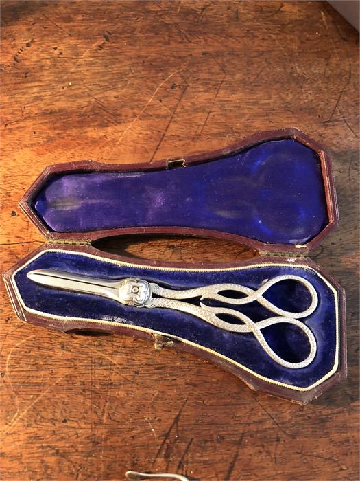 Fine quality pair silver grape scissors in presentation box
