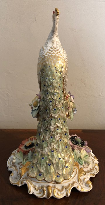 Royal Crown Derby figure of a peacock signed M E Towned and S Kinsey 24cms