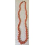 Coral beads with 9ct gold clasp - 32cms l