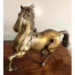 Bronze of prancing horse 42 h x 44 w
