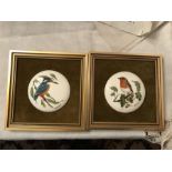 Two Coalport ceramic bird plaques by Norman Arlott