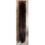 Fox fur stole in protective case - 129cms l - in good condition.