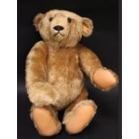 A LARGE HUMP BACKED GROWLER STEIFF BEAR, with ear button and yellow tag