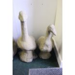 A PAIR OF STONE GEESE ORNAMENTS, garden decoration