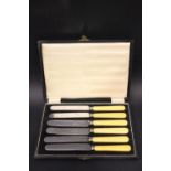 A CASED SET OF BONE HANDLED BUTTER KNIVES, stainless steel blades, Sheffield