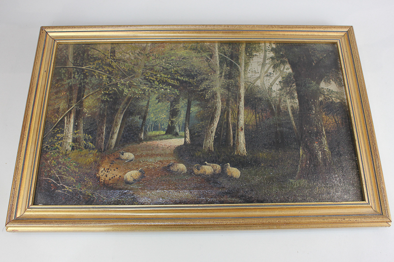 S Morris, sheep resting on a shady woodland path, oil on canvas, signed, 29cm by 49cm, (a/f)