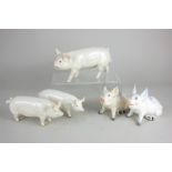 Five Beswick models of pigs, including a Middlewhite boar, white, gloss, 10cm, a boar 'Ch Wall