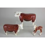 Three Beswick models of Hereford cattle, comprising bull 'Ch of Champions', brown and white,