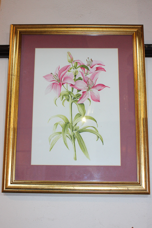 Attributed to Alice Harman, pink tiger lilies, watercolour, unsigned, 35.5cm by 25.5cm