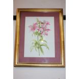 Attributed to Alice Harman, pink tiger lilies, watercolour, unsigned, 35.5cm by 25.5cm