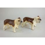 Two Beswick model bulldogs, 'Ch Basford British Mascot', in gloss and matt, each 14cm