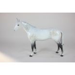 A Beswick model of a dapple grey horse in gloss, 25cm