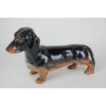 A Beswick porcelain model of a standing dachshund (No 361), in black and tan gloss, 13.5cm high