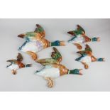 A set of five Beswick porcelain mallard wall plaques (model 596), all in gloss, in graduated sizes