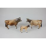 Three Beswick porcelain models of Jersey cattle, bull Ch Dunsley Coy Boy (1422), cow Ch Newton