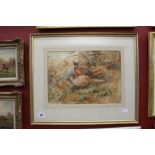 Herbert Laventon 1800-1900: Watercolour "Brace of Pheasants - Breaking Cover", signed lower right.