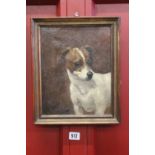 British School: Jack Russell terrier 'Tristy' oil on canvas, signed 'E Fox -87' lower left. Framed